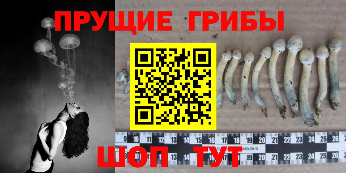 Псилоцибиновые грибы ЛСД Донецк